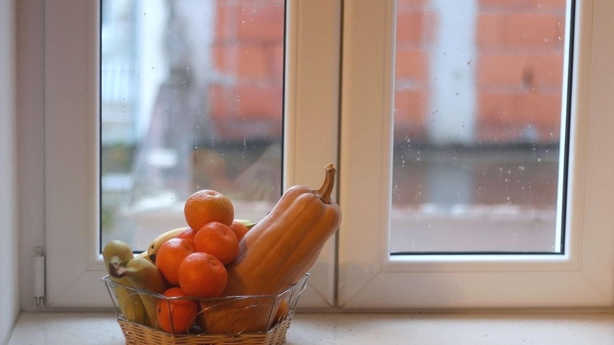Evita colocar alimentos perecederos como frutas, verduras, queso o pan sobre el alféizar