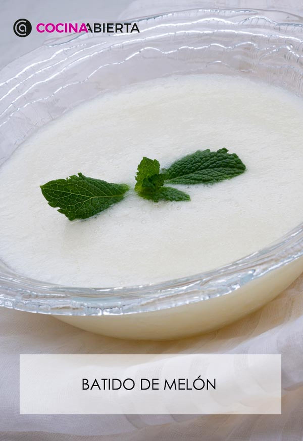 karl6605 batido melon v