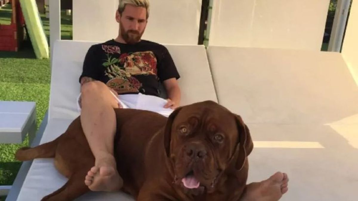 perro de messi 4