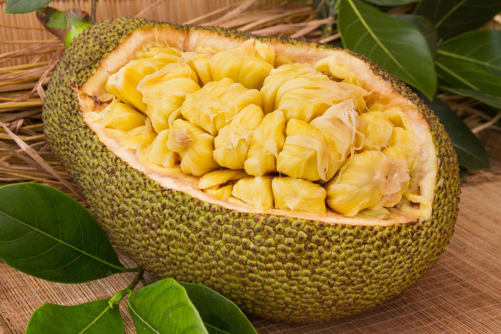 pulpa variedad fruta pan pulpa variedad fruta pan