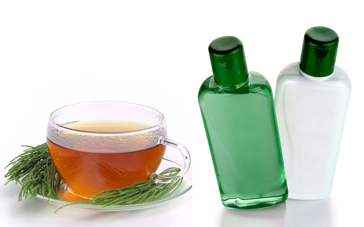 champu cola caballo XL