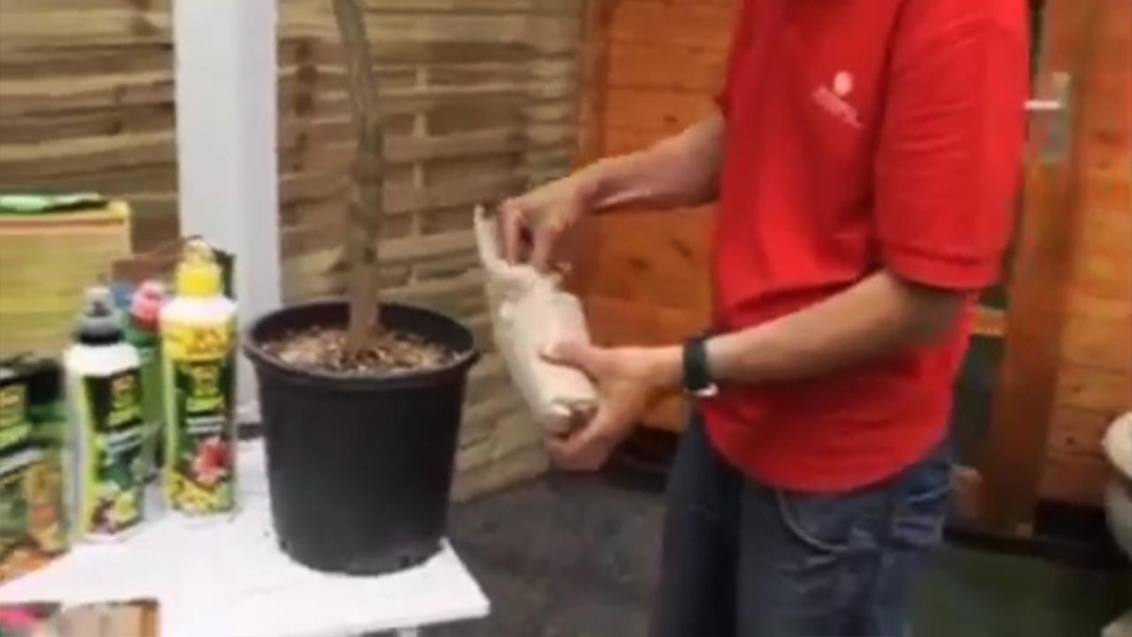 guano usos guano usos