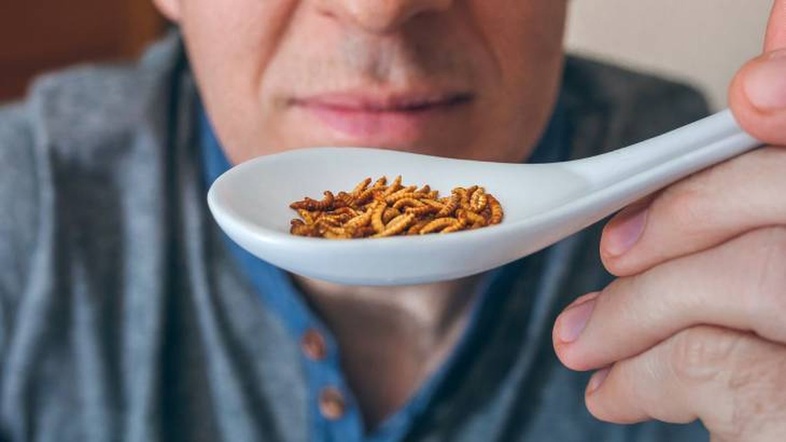 Los insectos pueden ser un alimento sabroso para el ser humano Los insectos pueden ser un alimento sabroso para el ser humano