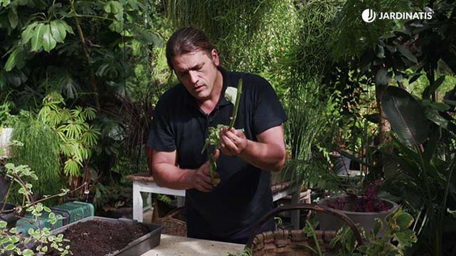 brico jardin 1003 esquejes otonales cortar hojas grandes