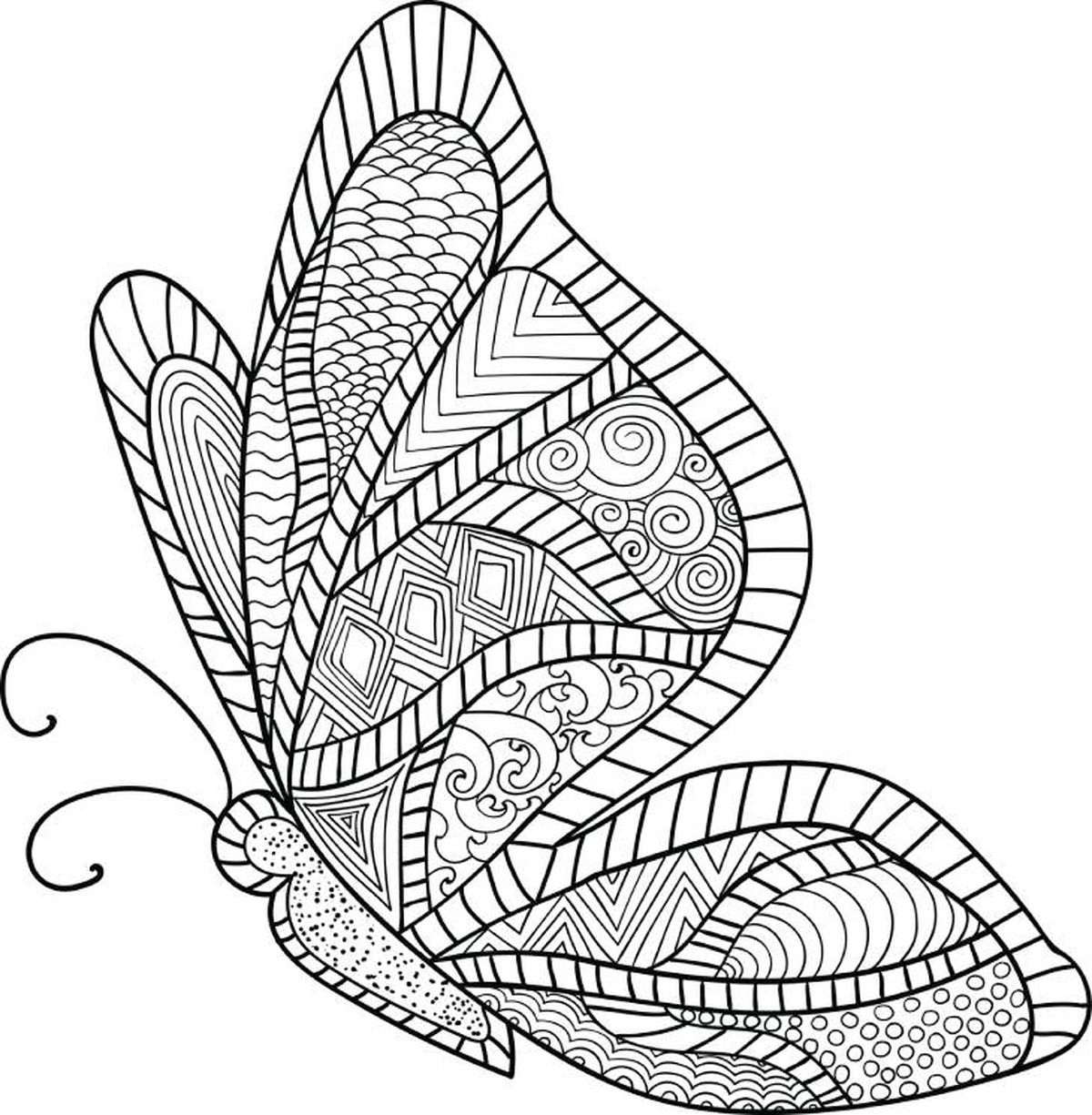 mariposa mandala