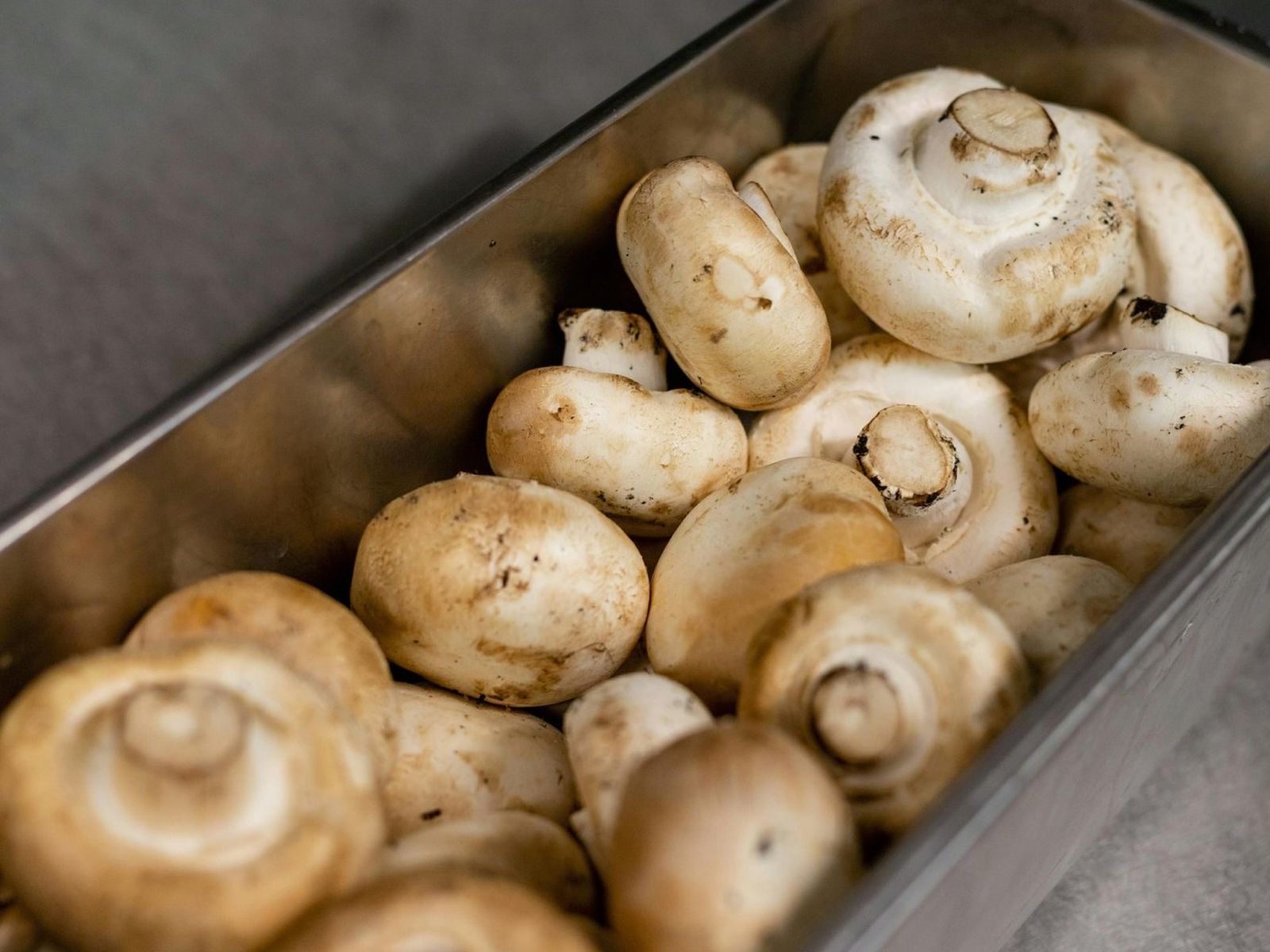 Las setas o champiñones de cultivo pueden contener restos orgánicos