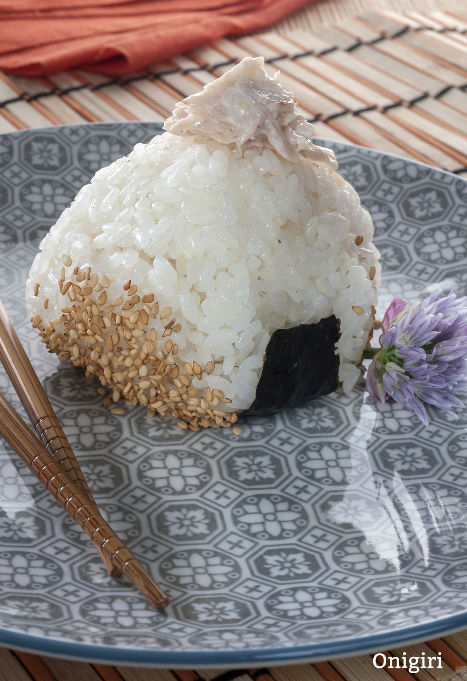 onigiri v onigiri v