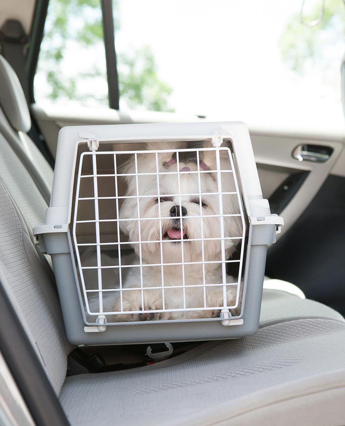 mascotas trasportin viaje coche