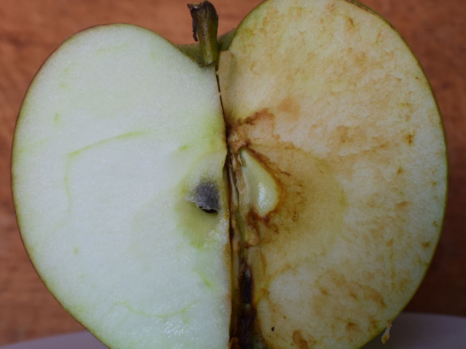 Efecto del aire en la manzana: a la izquierda fresca, a la derecha oxidada. Efecto del aire en la manzana: a la izquierda fresca, a la derecha oxidada.