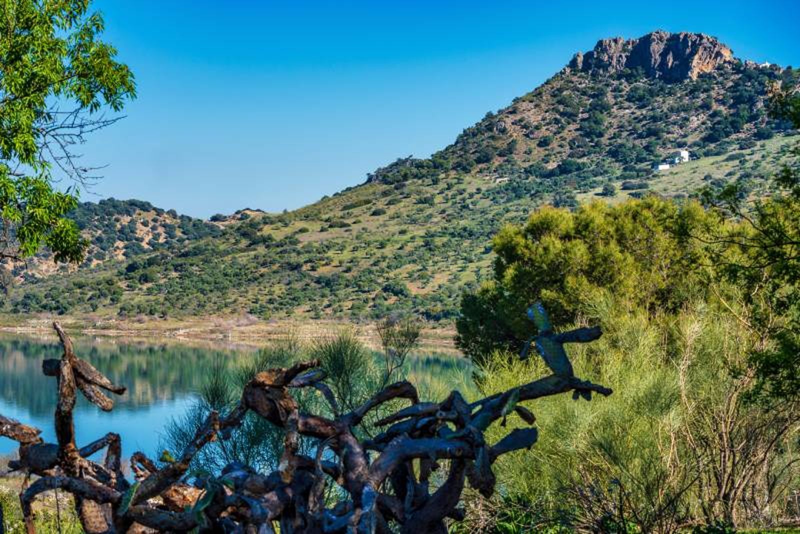 La Sierra de Grazalema ofrece una interesante experiencia de senderismo a pesar de las lluvias. La Sierra de Grazalema ofrece una interesante experiencia de senderismo a pesar de las lluvias.