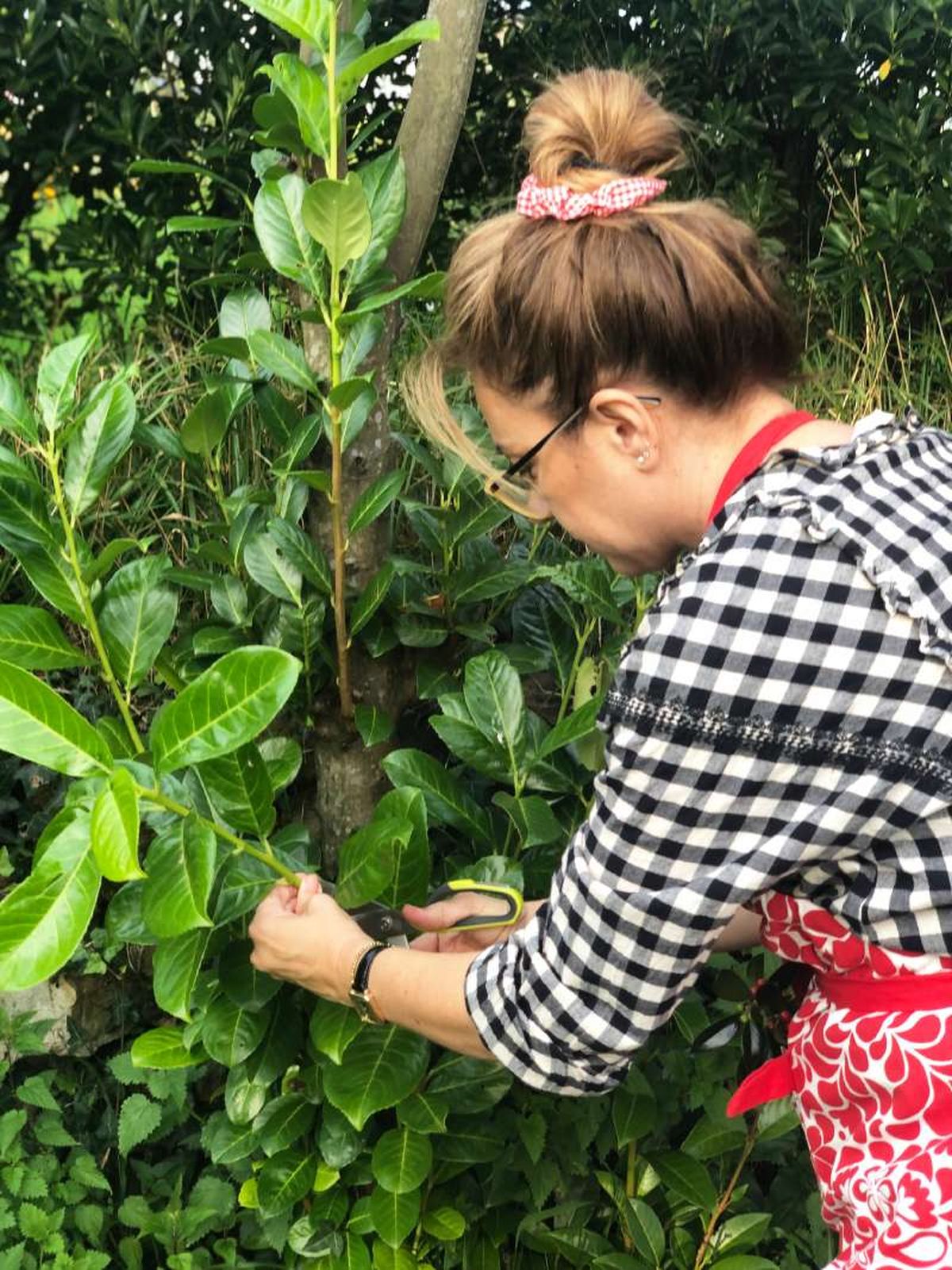 Cortar hojas verdes para hacer una corona navideña rústica.