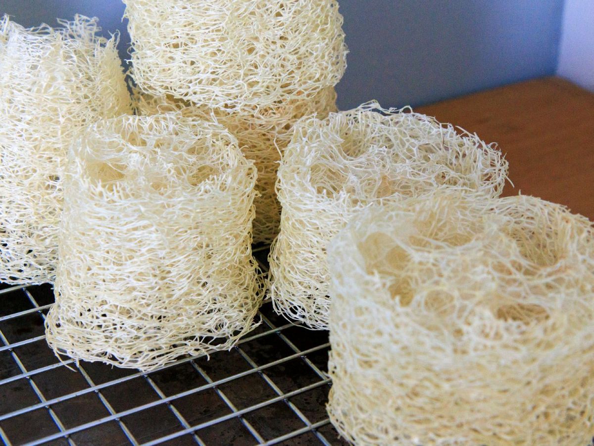 Lufa cortada en varios trozos