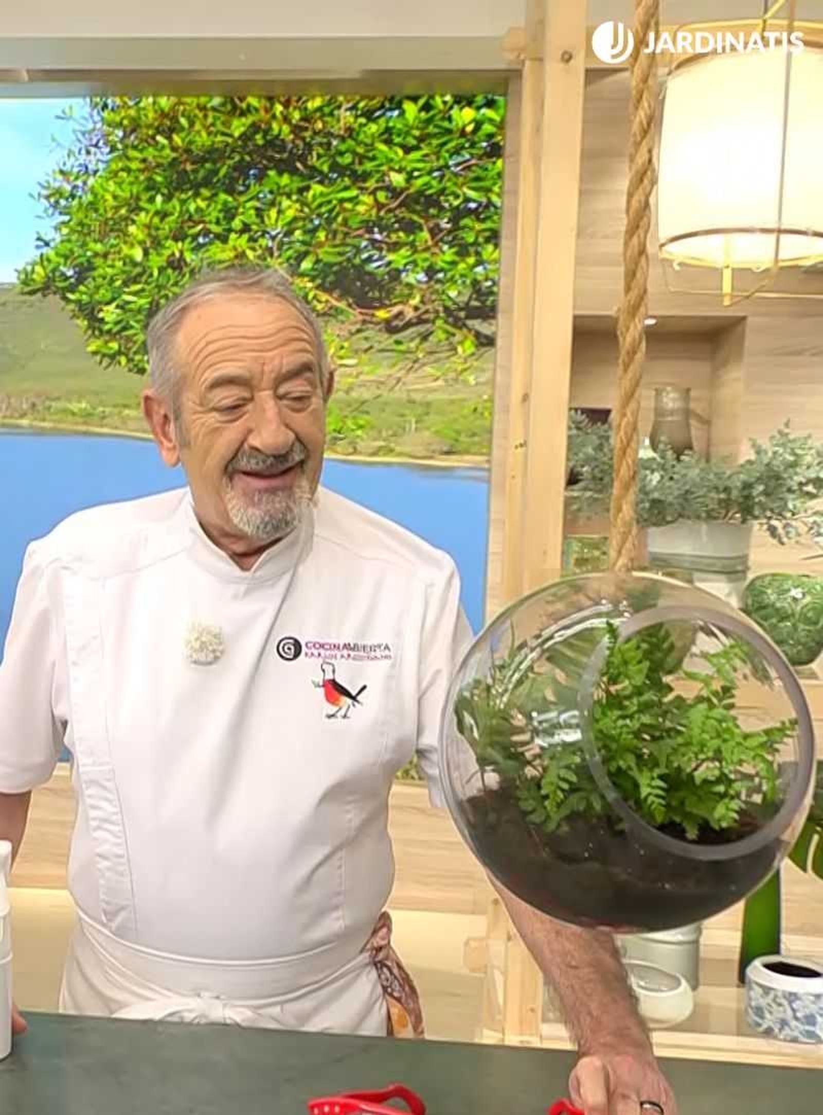 Helechos colgantes en el programa de Karlos Arguiñano Helechos colgantes en el programa de Karlos Arguiñano