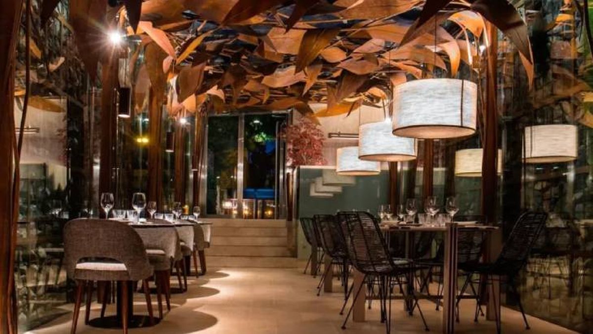 restaurantes de madrid para comer con perro chow chow (1)