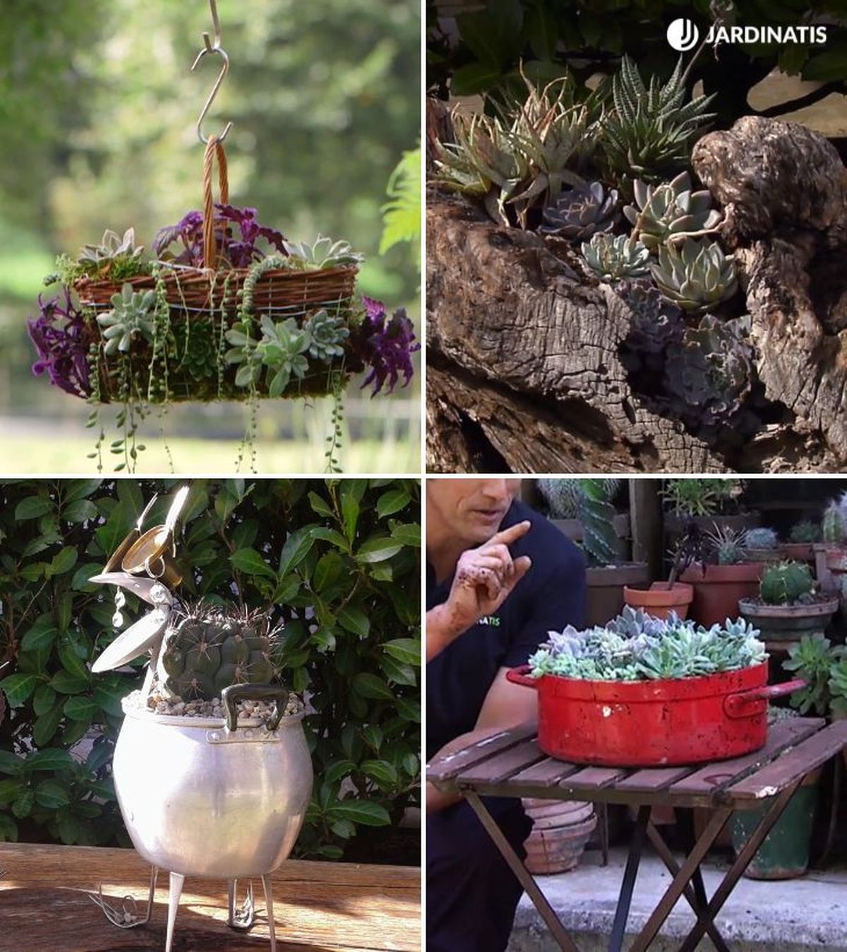 reutilizar cesta mimbre tronco cacerola puchero para plantar suculentas