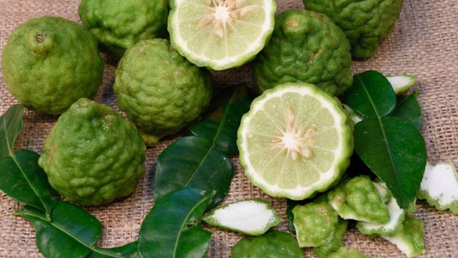 Lima kaffir Lima kaffir