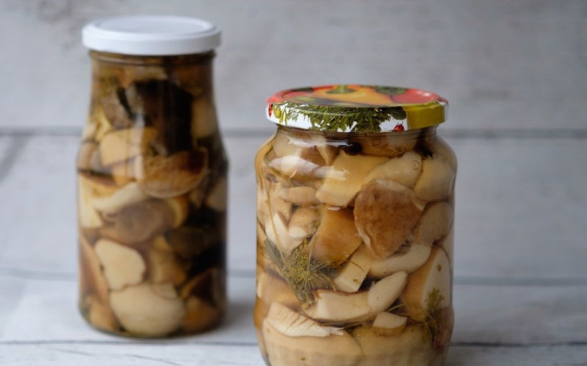 Níscalos, rebozuelos y capuchinas son las setas idóneas para conservar en escabeche