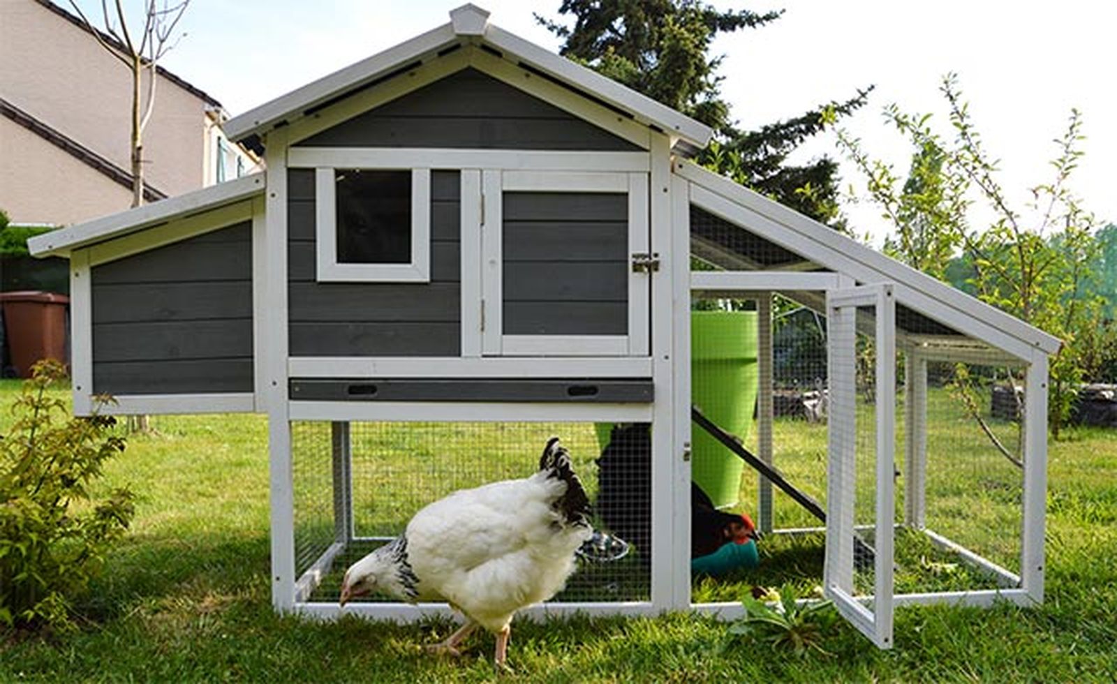 complementos ideales gallinero perfecto 2 complementos ideales gallinero perfecto 2