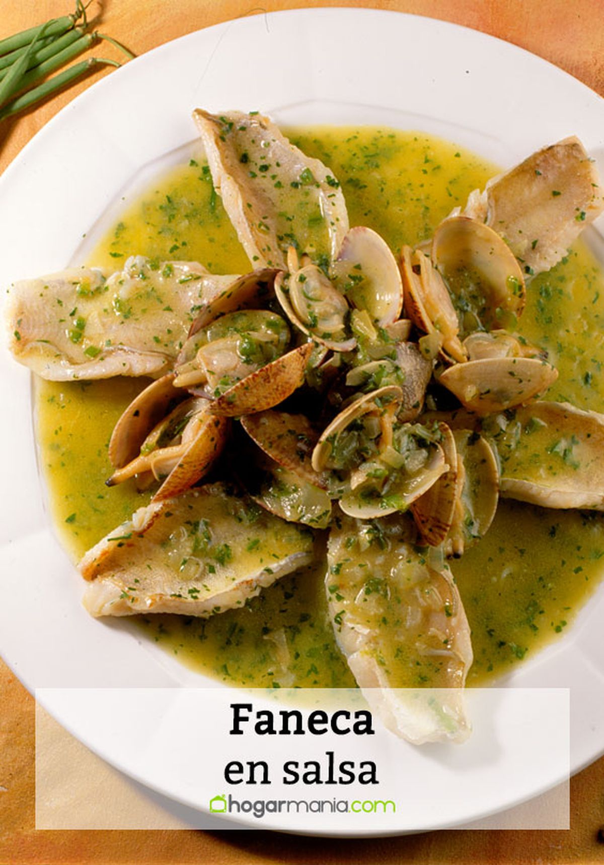 171 2 faneca salsa pin