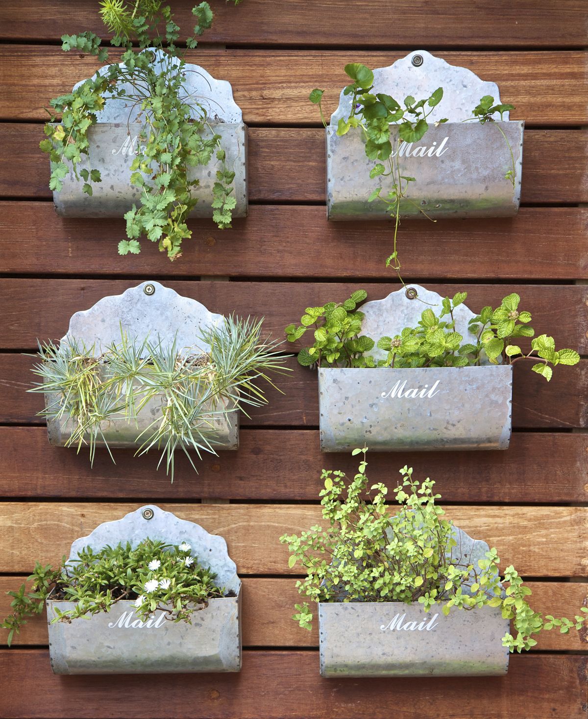 buzones para plantas