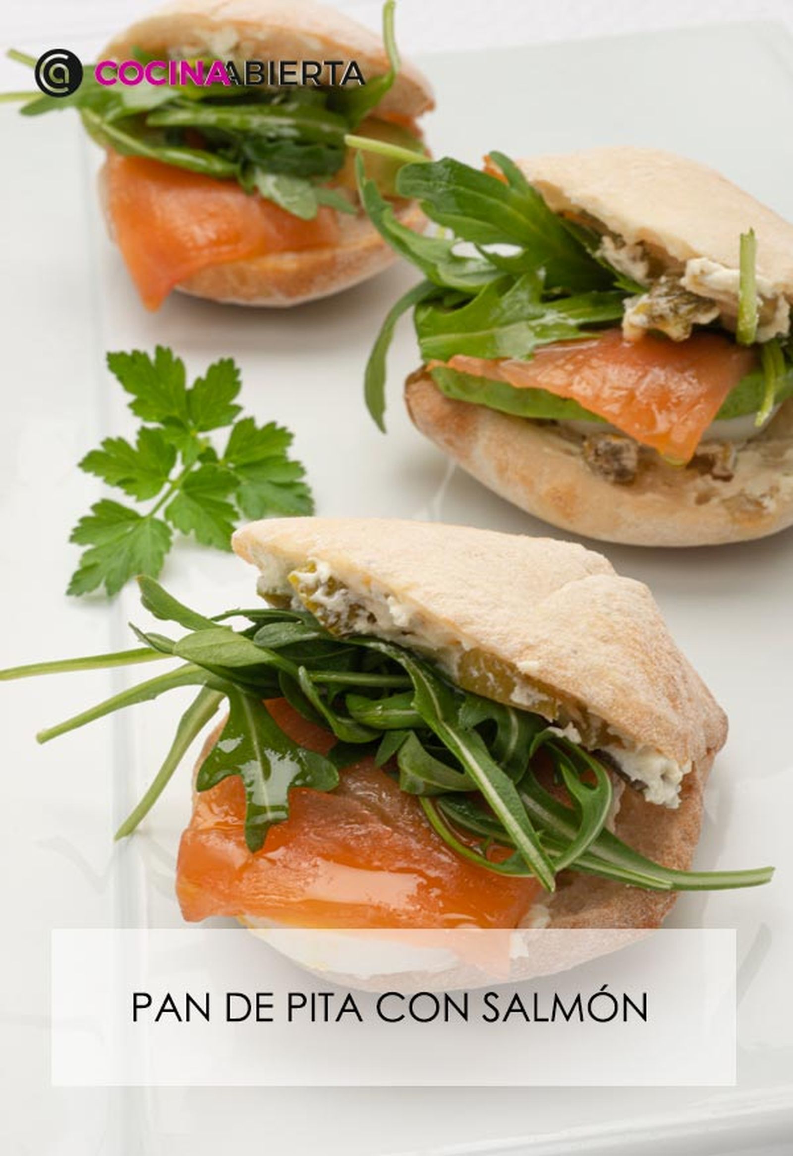 karl6697 pan salmon v karl6697 pan salmon v
