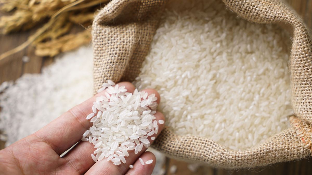 origen leyenda arroz caracteristicas