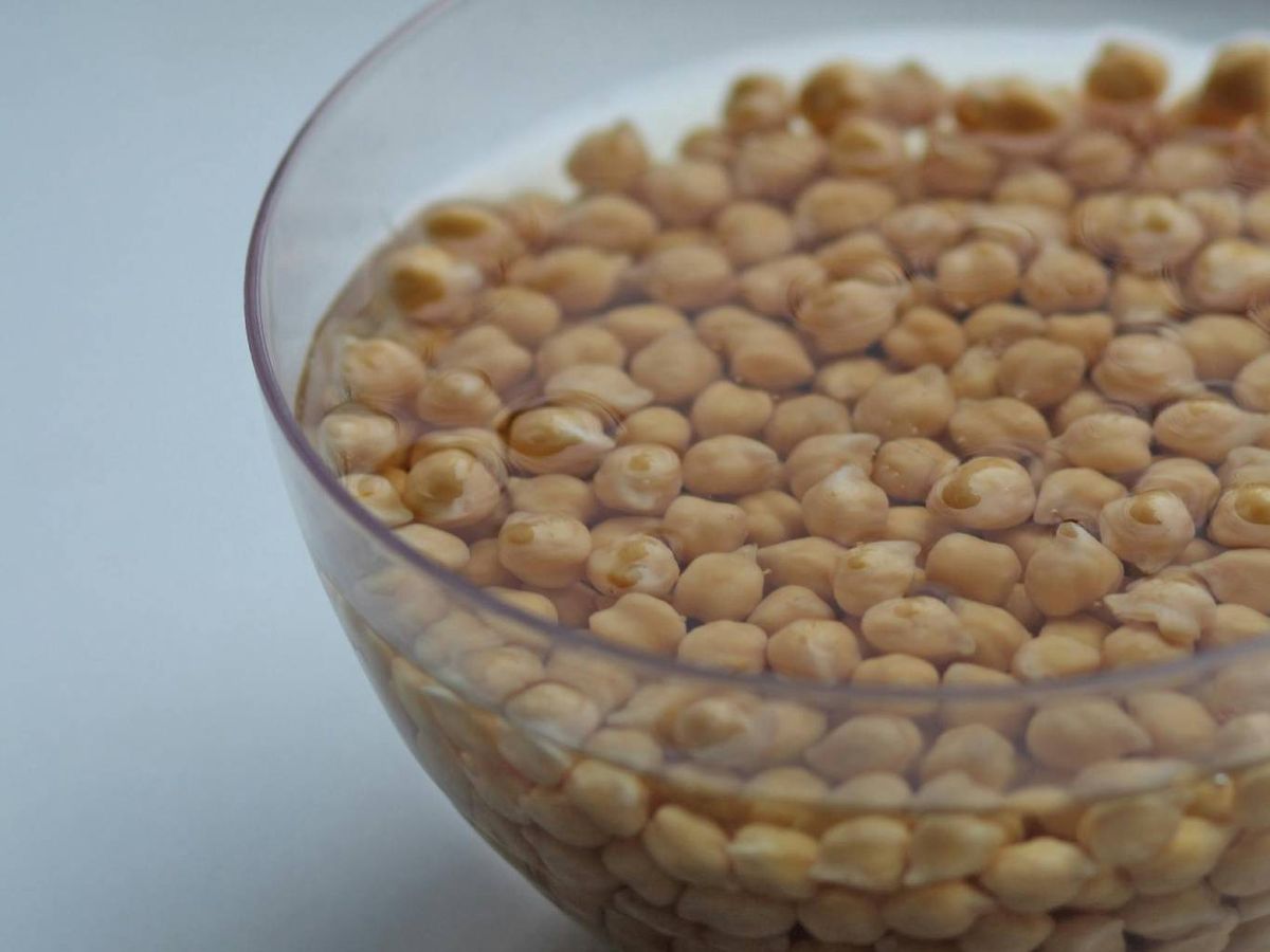 Garbanzos secos en remojo, paso clave para preparar el hummus tradicional.