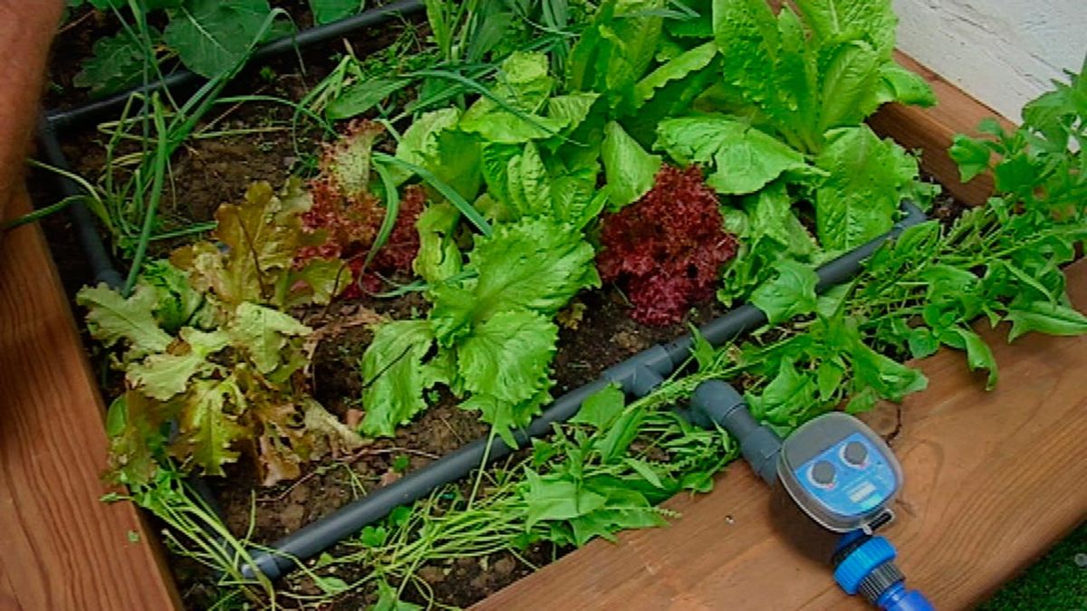 Cómo hacer un sistema de riego por goteo