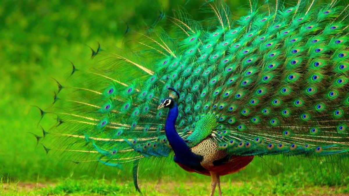 La comunicación visual está muy relacionada con la comunicación no verbal.