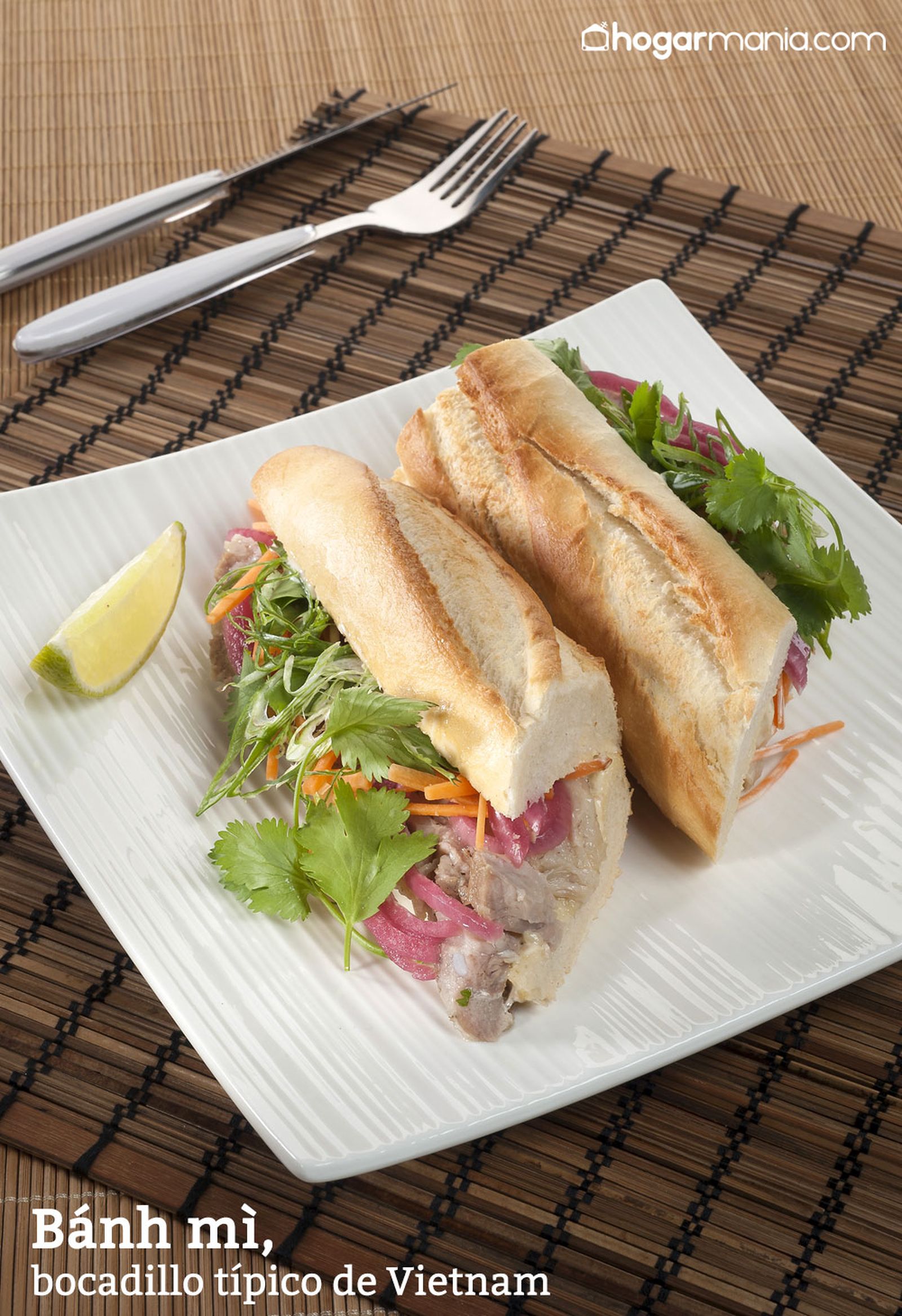 CABI0026 Kevin Banh mi vertical xl