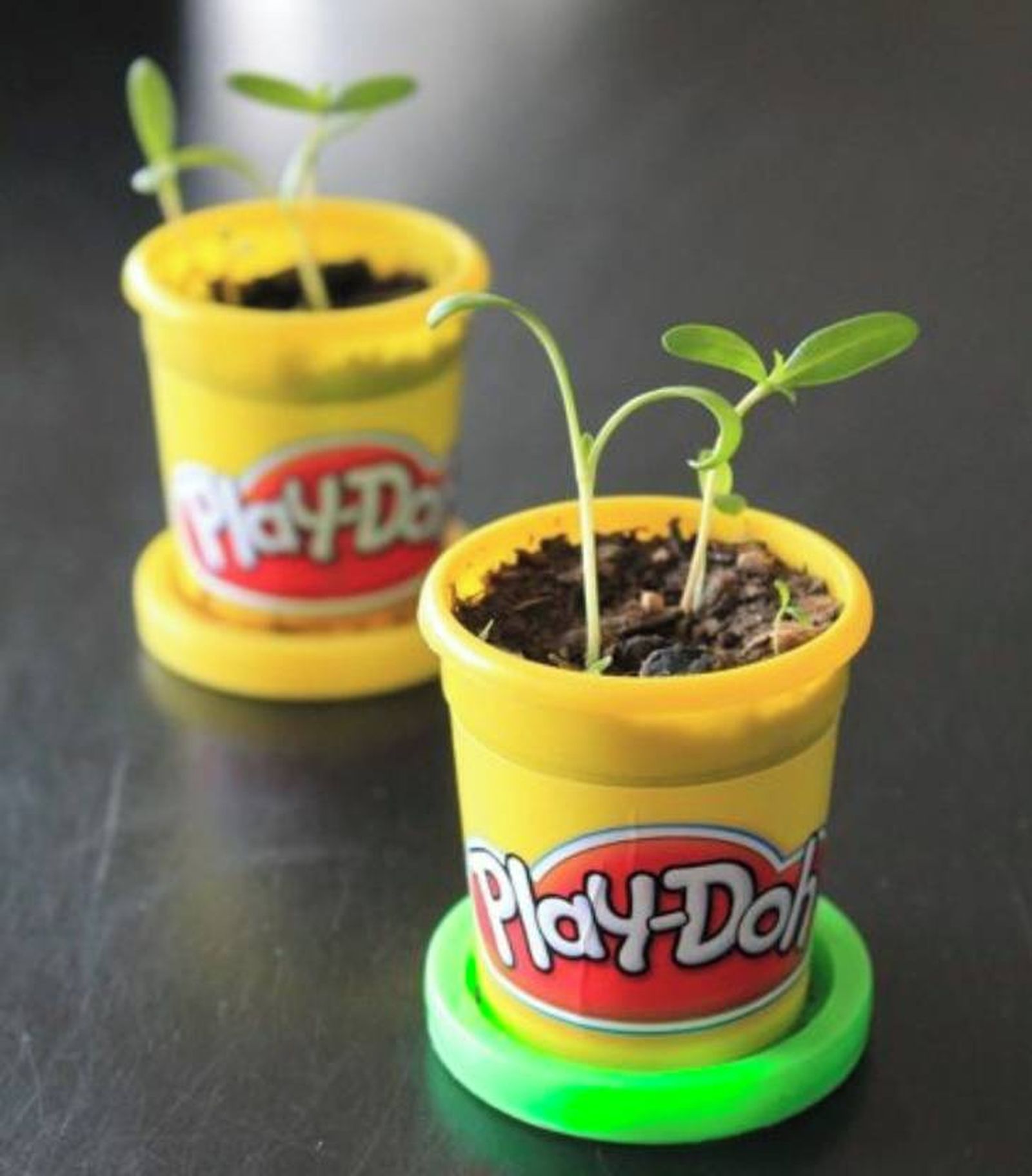 plantar semillas botes play doh facebook play doh espana plantar semillas botes play doh facebook play doh espana
