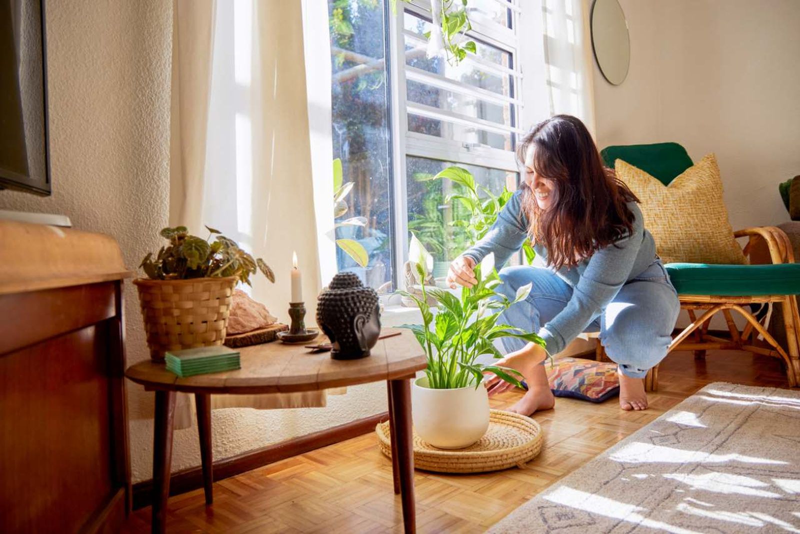 Cada planta requiere niveles de luz diferentes