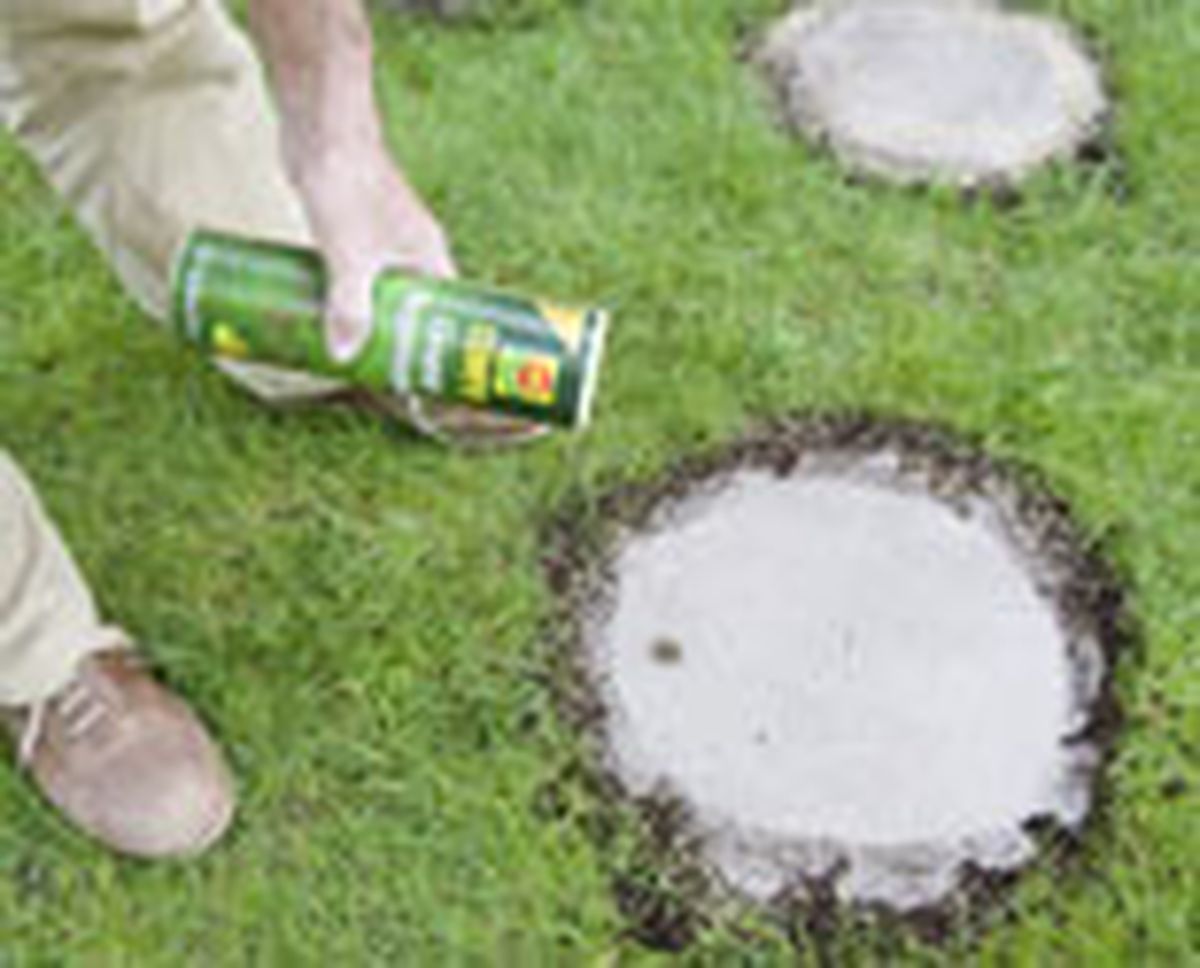 558 paso japones p07