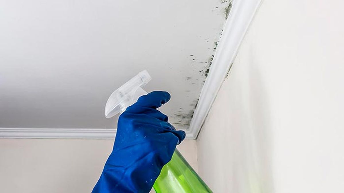 Limpieza de techo y pared con moho