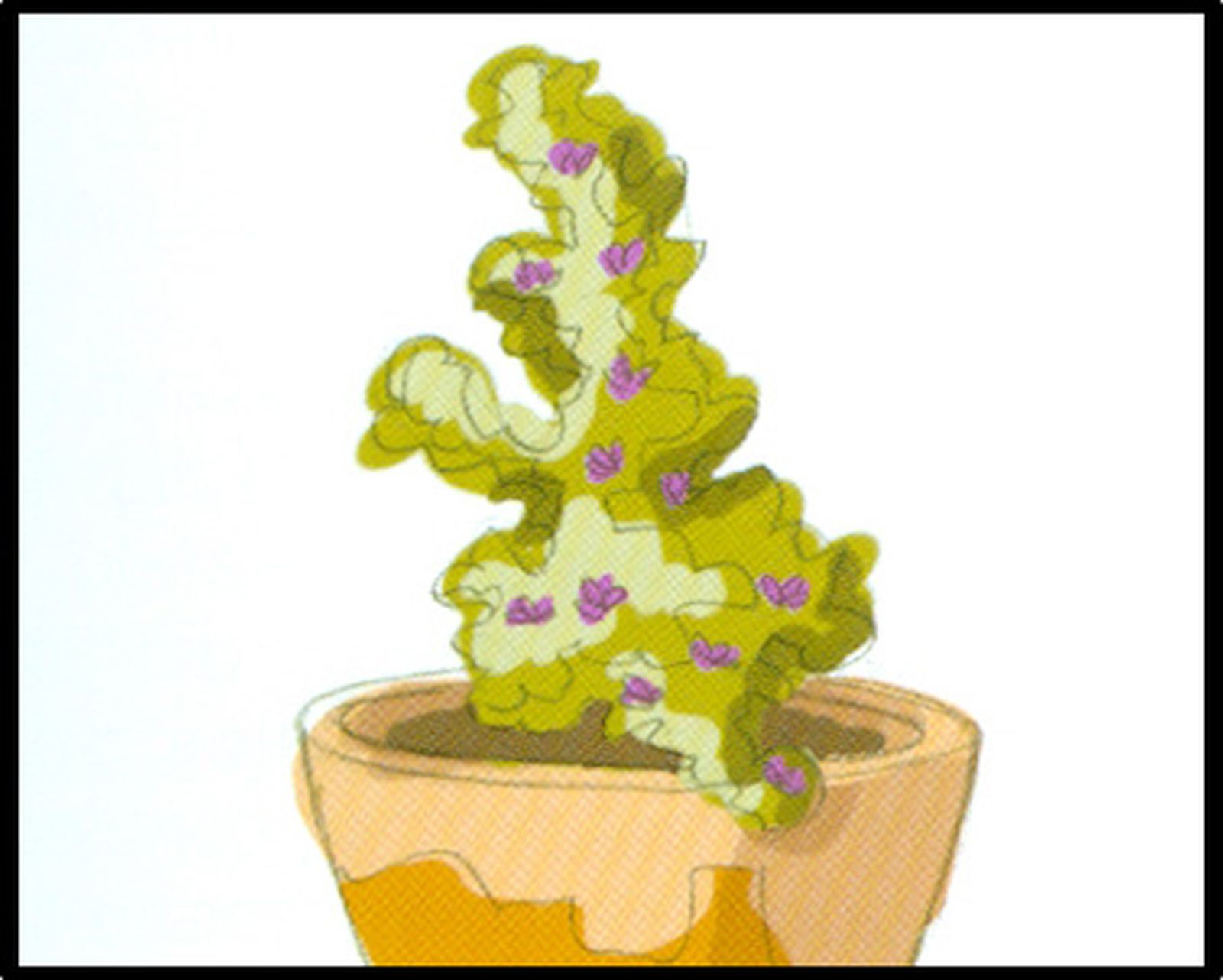 Esquema de plantación 1