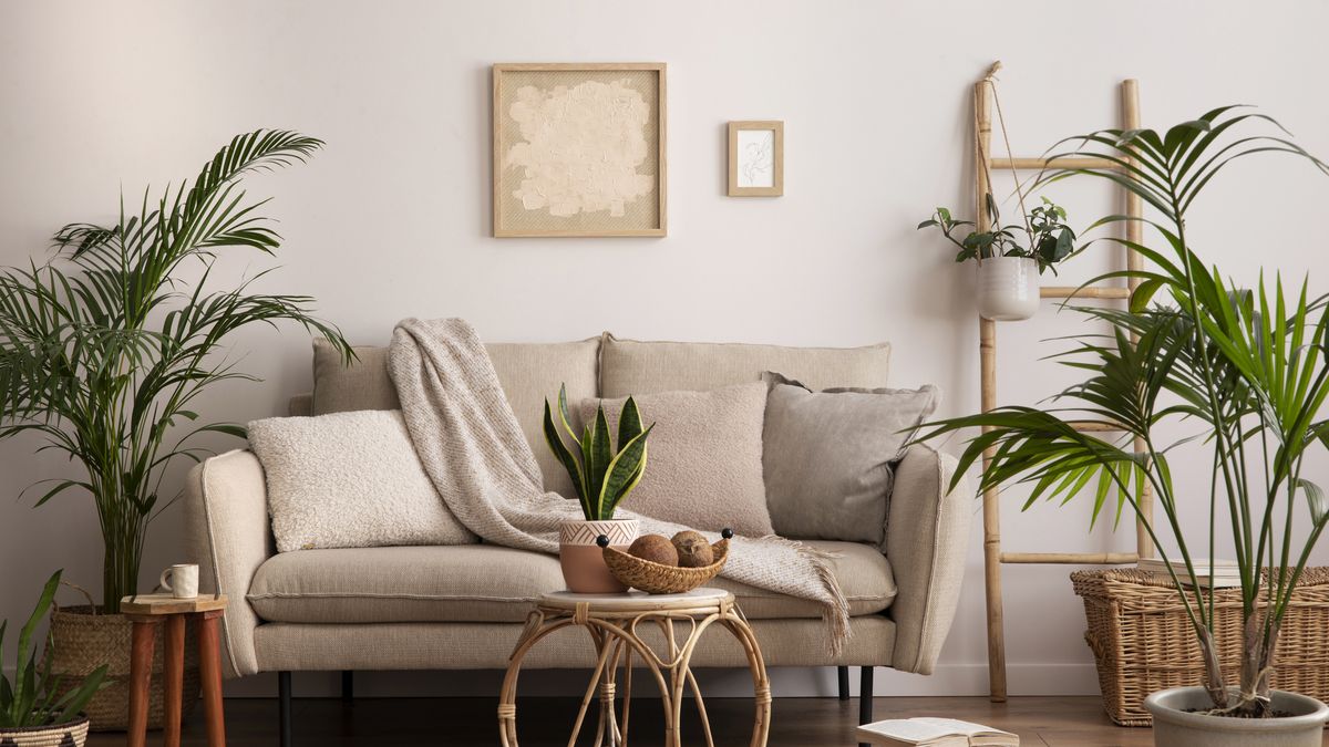 Las plantas aportan estilo, pero no hay que acumularlas