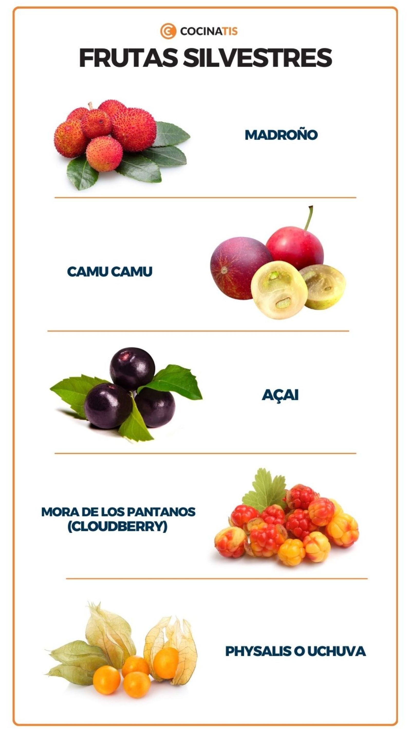 Frutas silvestres poco conocidas Frutas silvestres poco conocidas