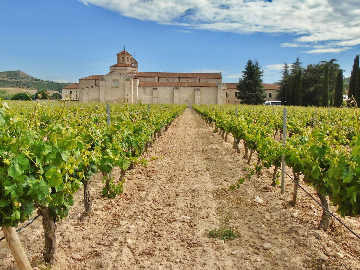 Viñedos de la Ribera del Duero junto al monasterio de Santa María de Valbuena, emblema del enoturismo vallisoletano.