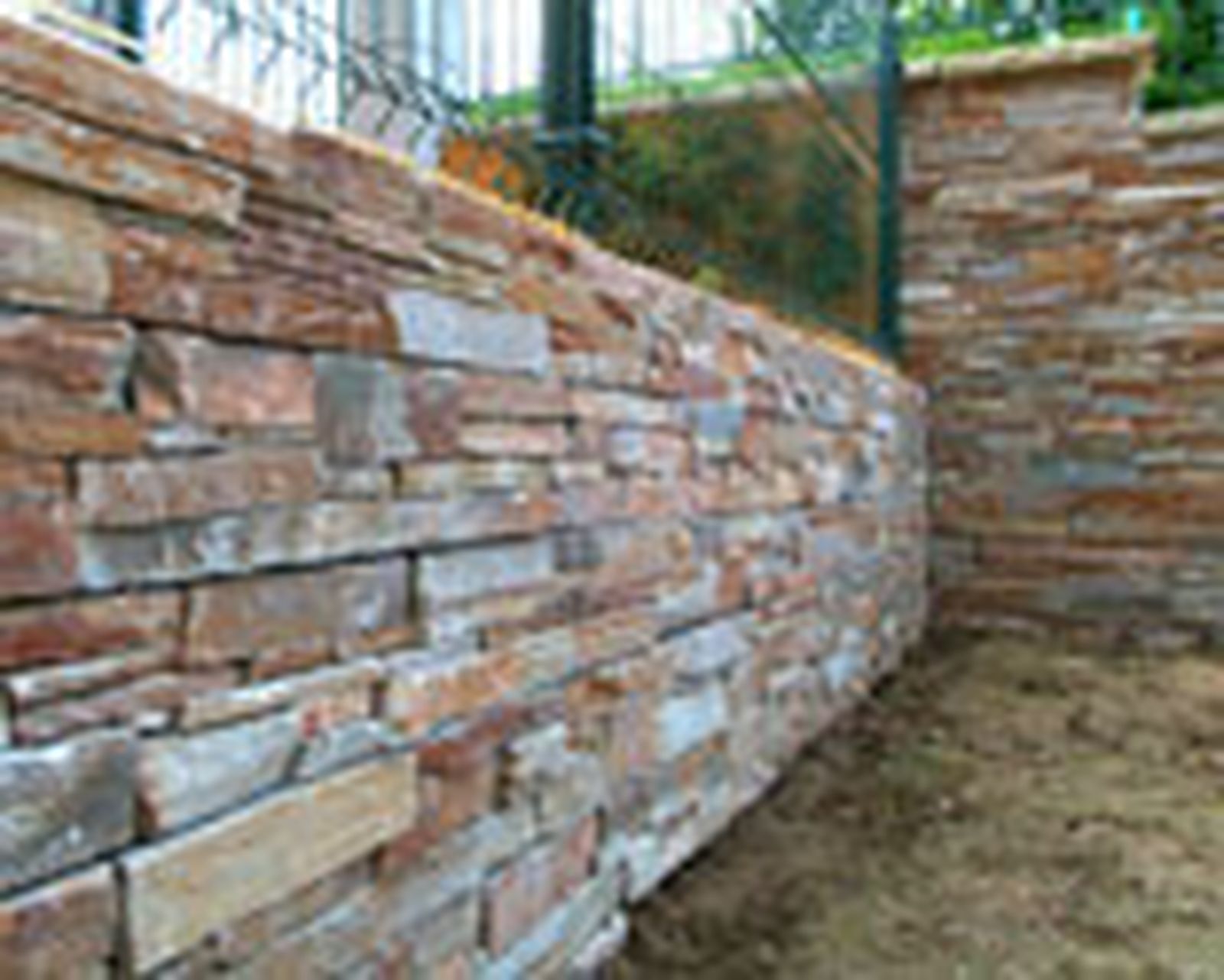 462 pied nat ext p27 462 pied nat ext p27
