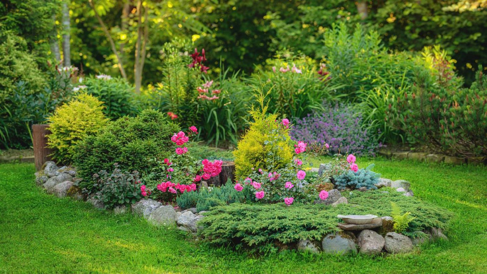 Plantas que mejoran la calidad del suelo