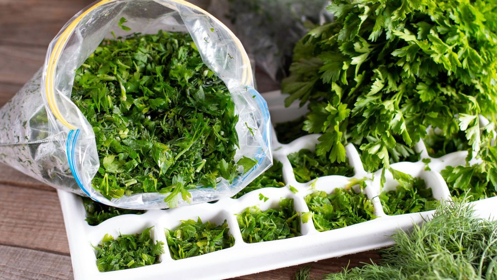 Cómo congelar perejil