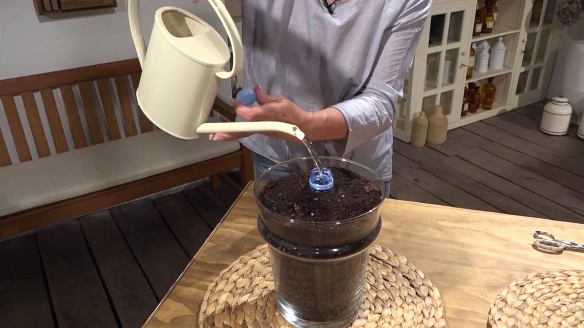 formas regar botellas plastico 4