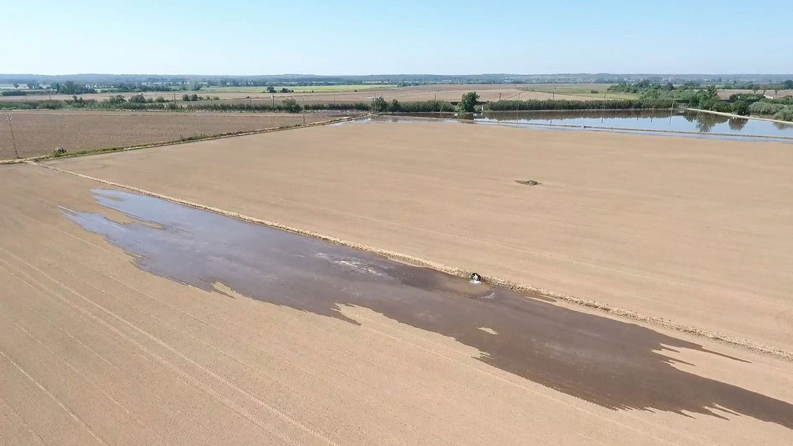 zonas de cultivo del arroz xl