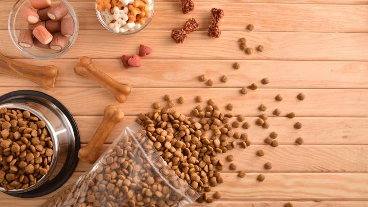 alimentacion mascotas tipos