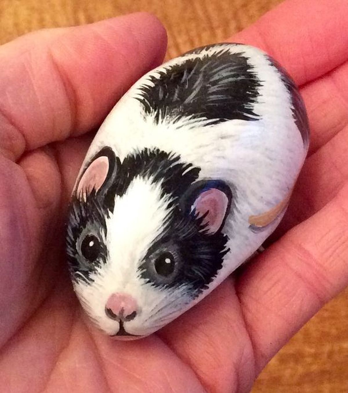 piedras pintadas jardin raton pinterest 2