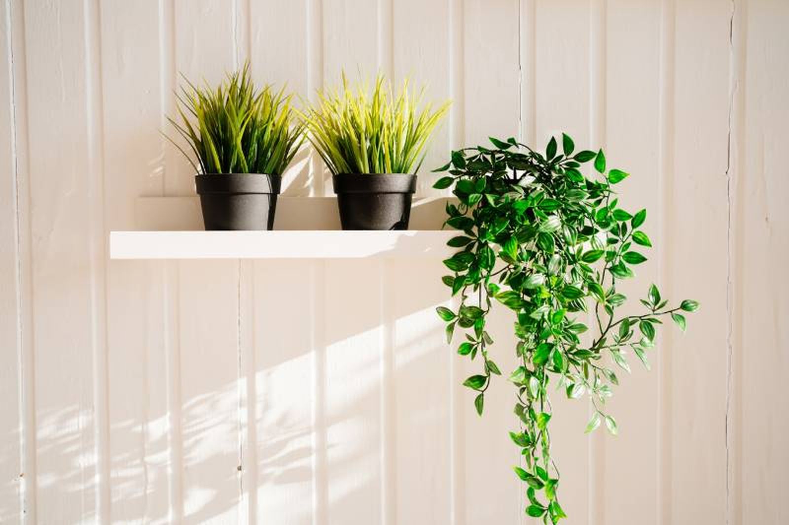Las plantas artificiales son capaces de reducir hasta en un 90% los niveles de dióxido de carbono. Las plantas artificiales son capaces de reducir hasta en un 90% los niveles de dióxido de carbono.