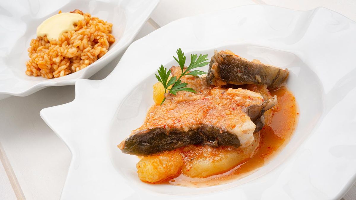 karl6610 caldero gallo xl