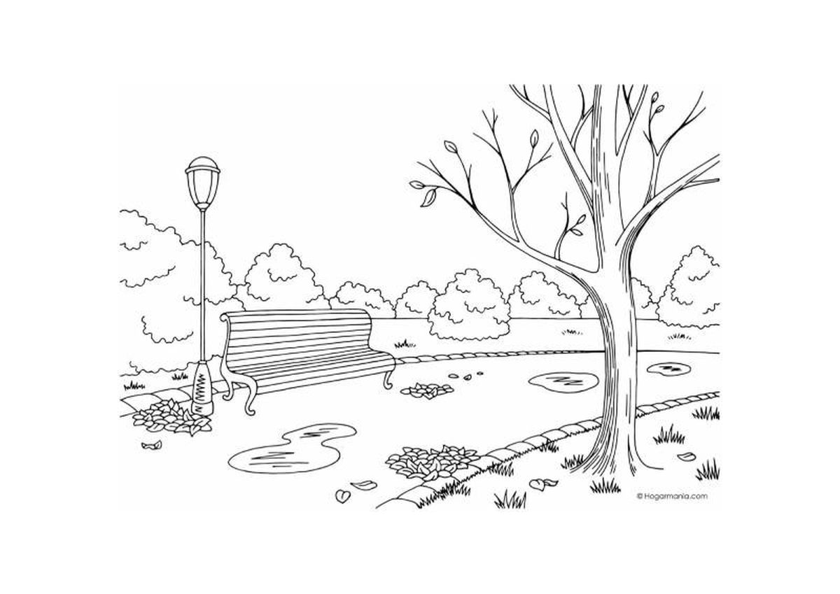 Dibujo para colorear de un parque con paisaje otoñal.