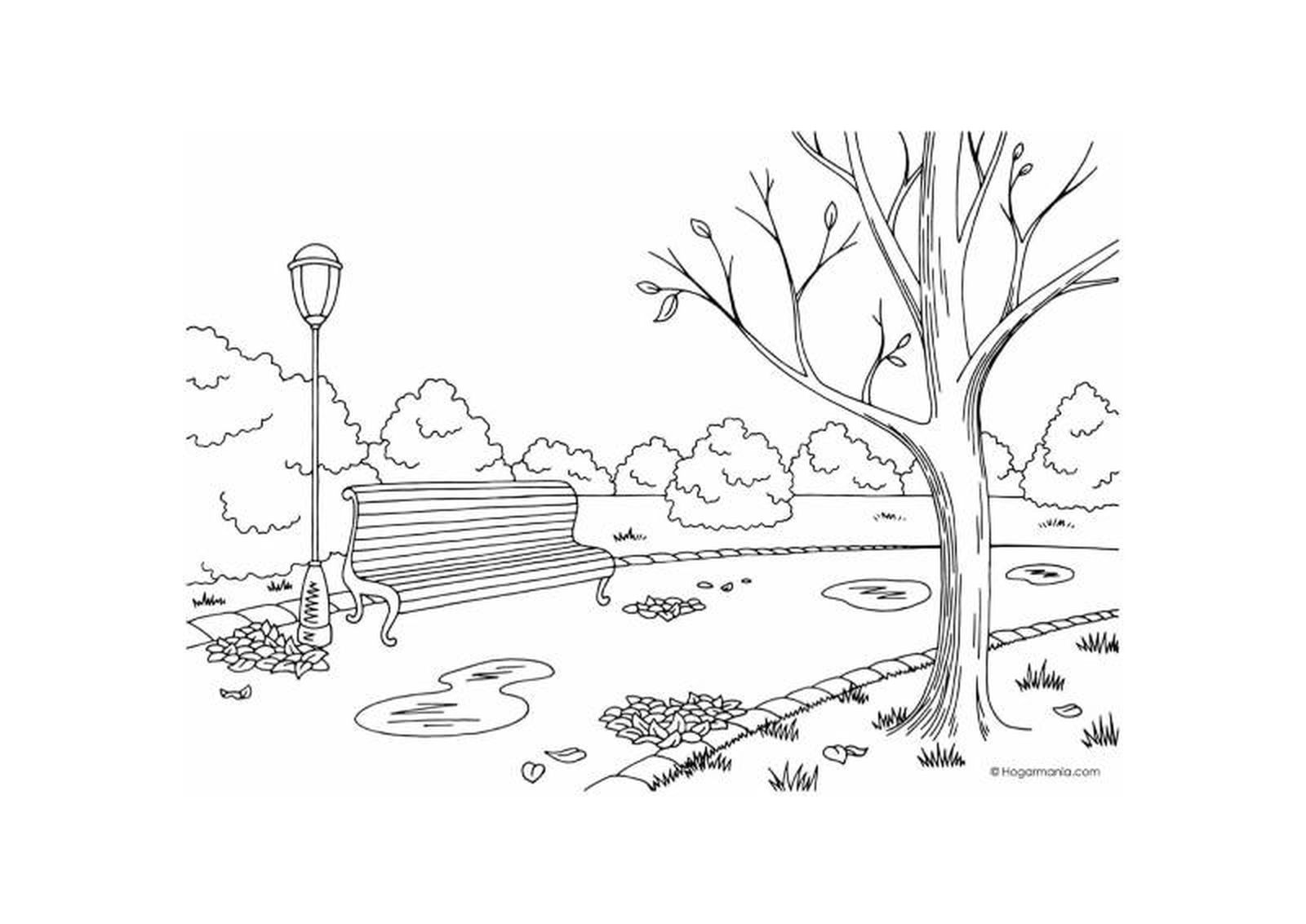 Dibujo para colorear de un parque con paisaje otoñal. Dibujo para colorear de un parque con paisaje otoñal.