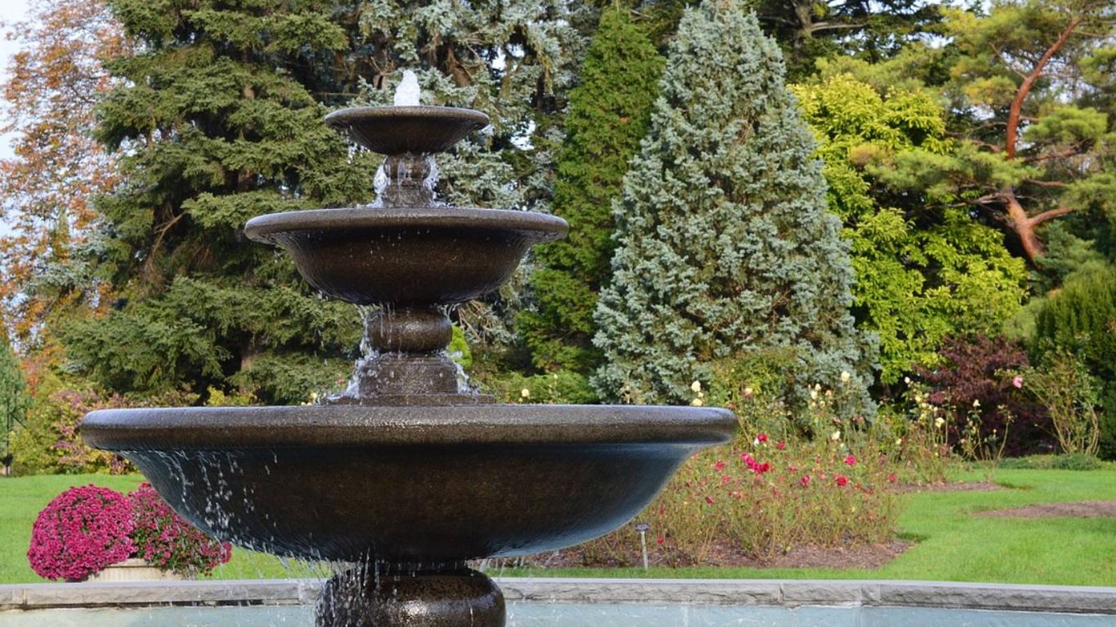 Diseno de jardines con piscina: Setos